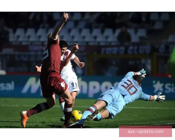 九州体育入口全面解析，带你畅享极致体育娱乐体验